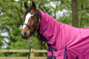 Ligero 600D impermeable lluvia hoja Combo caballo participación alfombra con cuello 0g sin relleno - Product Image 4