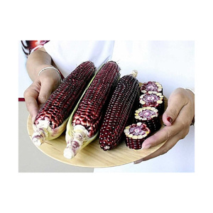 มีข้าวโพดแดงออร์แกนิกสำหรับการสั่งซื้อจำนวนมากในบรรจุภัณฑ์แบบกำหนดเอง - Product Image 5