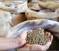 Yeşil kahve çekirdekleri Robusta S16 gelen Buon Me Thuot Vietnam yüksek kaliteli ham kahve işleme bal yıkanmış satılık