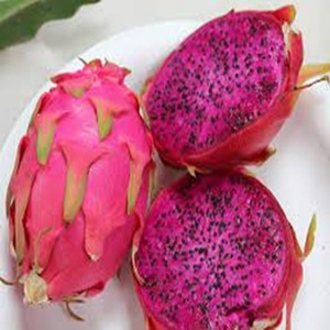 Dragón rojo de frutas frescas de grado premium a la venta a precios competitivos - Product Image 4