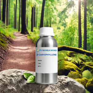 Bêta-caryophylène 1 kg, composé aromatique naturel issu de graines, pour la saveur et la fragrance, avec des notes sucrées et boisées - Product Image 2