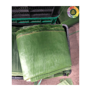 ใบตองแช่แข็งสำหรับห่ออาหารจากข้อมูลทองคำ99ใบกล้วยแช่แข็งคุณภาพสูงสำหรับห่ออาหารที่เป็นมิตรกับสิ่งแวดล้อม - Product Image 2