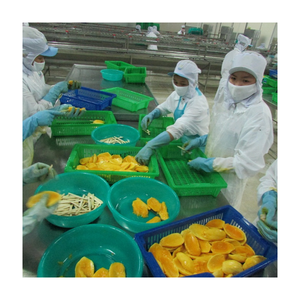 Export-Grade Frozen <b>Mango</b> - Ripe, Tropical Flavor Locked in <b>Fresh</b> From 99 Gold Data - Product Image 2