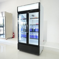 Réfrigérateur-congélateur vertical commercial portable avec compresseur pour la présentation de boissons en supermarché et hôtel