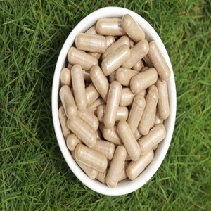 Cápsulas de Noni Superalimento de frutas Una superfruta del sol y la lluvia Alivia tu estrés y calma tu cerebro Siéntete fresco fuerte - Product Image 6