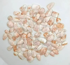 พลอยสโคเลไซต์ธรรมชาติทรงหลังเบี้ย ขัดเงาอย่างพิเศษ สำหรับช่างทำเครื่องประดับ พลอยหลวม ล็อตพลอยสโคเลไซต์ - Product Image 1