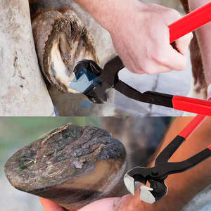 Ansa impex กรรไกรตัดเล็บแบบมืออาชีพ, ที่ตัดขนสัตว์แบบมืออาชีพยาว16นิ้วทำจากสเตนเลส - Product Image 2