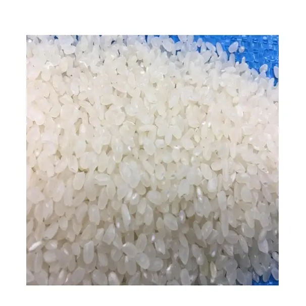 HIGH QUALITY JAPONICA RICE, JAPANESE RICE
