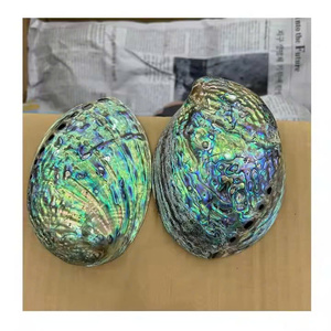 Vietnam usine directe coquille d'ormeau en gros deux faces poli nacre brute coquillage vente - Product Image 1