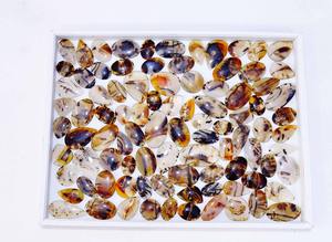 Ágata de Montana Natural de alta calidad, mezcla de piedras preciosas sueltas, forma y tamaño, cabujón de ágata Montana, lote de piedras preciosas sueltas, fabricación de joyas - Product Image 5