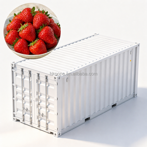 High Yield Vertical Strawberry Growing Container Farm with Smart IOT Environment Monitoring and LED Grow Lights for Commercial - Product Image 1