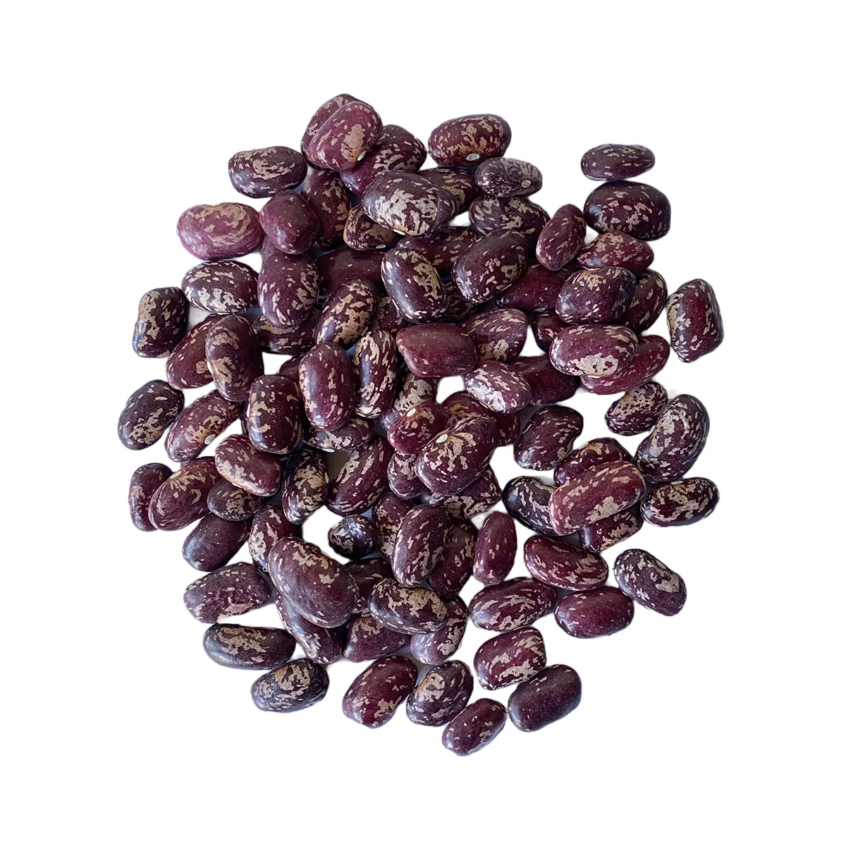 Highest quality Natural Dry Beans Good Price Uzbekistan Product Bulk Speckled Royal Kidney Bean for food