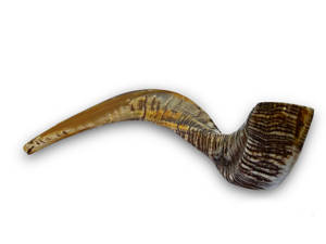 Cuerno natural Pulido Ram Horn Shofar Curva ancha y colores naturales Estilo animal y religioso Directamente DE LA India - Product Image 4