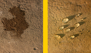 Soluciones para el Cuidado de Superficies FILA HYDROREP Sellador Repelente al Agua para Exteriores para Mármol, Granito, Piedra, Hormigón, Anti-Moho y Anti-Efloración - Product Image 4