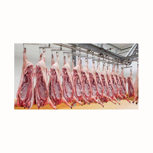 Carne de cerdo congelada lista para enviar cualquier puerto de su elección de alta calidad carne de cerdo congelada disponible carne de cerdo congelada cortada en 4 vías - Product Image 2