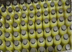 Jugo de caña de azúcar con jugo de Calamansi-Bebida de jugo a precio de fábrica-Muestra gratis-Etiqueta privada OEM - Product Image 4