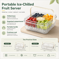 Gedeeld fruit-snack dienblad met ijscompartiment en deksel voor catering en groothandel