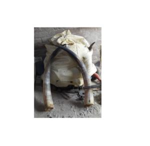 Par de bocina de búhos, claxon decorativo para hoteles y pared, pulido y brillante, hecho a mano, oferta - Product Image 6