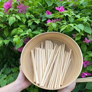 Eco2go Vietnam Eco2go <b>Bamboo</b> <b>Straw</b> 200mm Reusable Eco-Friendly Drinking <b>Straws</b> for Business Gifts Supplier - Product Image 1