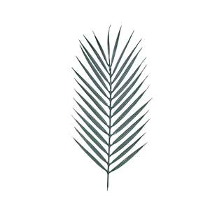 Hoja de 42 cm AFF-Leaf-150 - Product Image 1