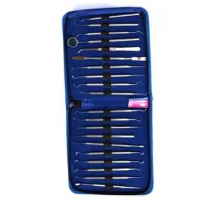 Instruments dentaires personnalisés de haute qualité Outils chirurgicaux Kit de soins d'hygiène buccale Ensemble de 10 pièces - Product Image 3