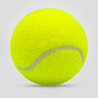 Balles de tennis officielles ITF standard, 45,57 % feutre de laine, diamètre 68,6 mm, balles de tennis pour entraînement et matchs professionnels