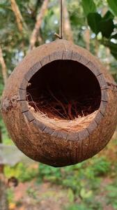 Nouveau Nid et Réseau pour Oiseaux en Coquille de Noix de Coco Naturelle du Vietnam pour Propriétaires d'Animaux de Compagnie – Lotus Bleu - Product Image 2