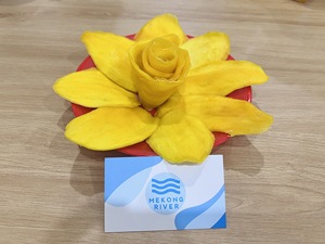 Mango secado suave madurado al sol Premium de Vietnam - Product Image 2