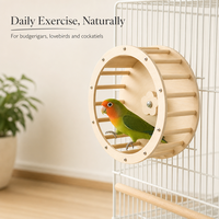 Roue de course silencieuse en bois de peuplier naturel, équipement d'exercice durable pour oiseaux, pour perroquets, agapornis et calopsittes