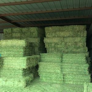 Pienso de Alfalfa Premium en Pellets, Grado Alimenticio, Alto en Proteínas, Vitaminas y Minerales, Paquete a Granel para Ganado - Product Image 4