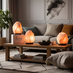 โคมไฟเกลือหิมาลัยธรรมชาติรับรอง GMP 2-3 kg วัสดุอินทรีย์สายไฟฟ้าหลอดไฟตกแต่งบ้านดอกไม้สัตว์ - Product Image 5