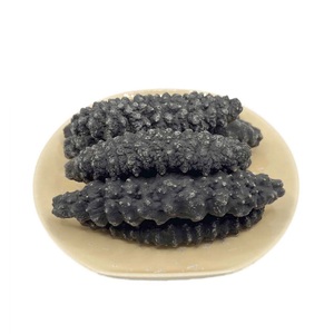 Concombre de mer séché - PRODUITS DE LA MER SÉCHÉS ET CONGELÉS Disponibles ici aux meilleurs prix de gros - Product Image 2