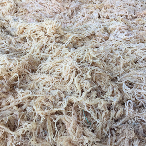 Algues naturelles séchées au soleil de mousse de mer séchée de qualité supérieure pour la sauce de cuisson végétalienne, la soupe et les boissons du Vietnam - Product Image 1