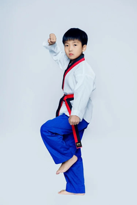 Jiu jitsu kimono Firmway nuevo uniforme de Taekwondo para niños principiantes ropa de entrenamiento profesional de manga larga - Product Image 3