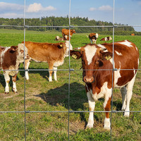 Clôture en fil de fer à haute résistance pour bétail 4/5/6 pieds - Rouleau de clôture agricole en acier galvanisé - Bordure de pâturage pour bétail, solide et durable