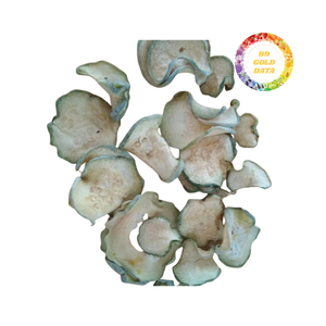 แตงโมฤดูหนาวอบแห้งคุณภาพสูงเป็นชิ้นบางๆหรือชิ้นเล็กชิ้นน้อย-เหมาะสำหรับการแปรรูปอาหารและการเก็บรักษาระยะยาว - Product Image 6