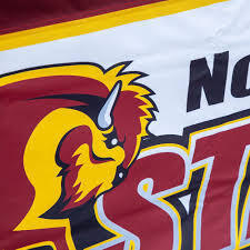 Drapeaux et écussons publicitaires personnalisés en polyester, impression numérique par sublimation HD, polyvalents, pour l'affichage - Product Image 3