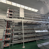 Système de cages automatiques pour poules pondeuses – Équipement de cages en batterie pour fermes avicoles commerciales