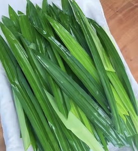 Hojas Pandan congeladas de Vietnam, material aromático procesado limpio para recetas dulces, bebidas y salsas - Product Image 3