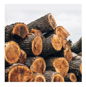 Noyer noir rondins de bois rond pour la vente en gros-Log, bois meilleur prix bon marché - Product Image 2