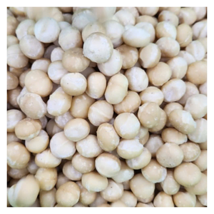 Deliciosa nuez MACCA de Vietnam, nuez MACCA asada seca para bocadillos energéticos e ingredientes para hornear, calidad de exportación a granel - Product Image 1