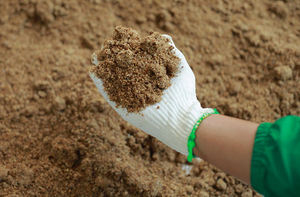 PASTEL DE ACEITE DE CACAHUETE/PASTEL DE ACEITE DE CACAHUETE-ALIMENTACIÓN ANIMAL de alta calidad y precio asequible - Product Image 3