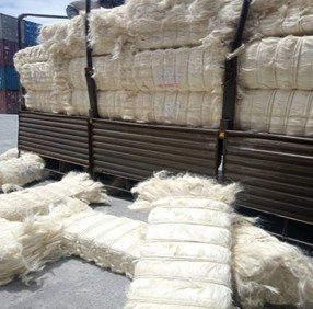Fibra de sisal de grado UG para material de construcción 100kgs/bale - Product Image 4