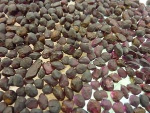 Grenat naturel brut non coupé pierres précieuses en vrac couleur pourpre en gros d'origine - Product Image 5