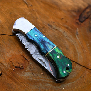 Cuchillos Plegables Profesionales en Stock - Hoja de Acero Inoxidable Personalizable OEM para Bricolaje, Equipo de Caza y Camping, ¡Gran Venta! - Product Image 4