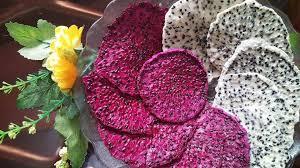 Fruta de dragón seca al por mayor/Pitaya de Vietnam - Product Image 2