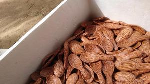 Cuchara de coco artesanal | Utensilios de cocina ecológicos al por mayor - Product Image 2