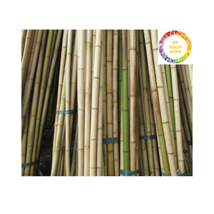 Postes de bambú natural ecológicos de primera calidad al mejor precio, apoyo sostenible para la construcción y la jardinería - Product Image 1