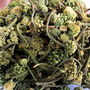 Vietnamese Supplier Dried Panax Pseudoginseng - Product Image 2