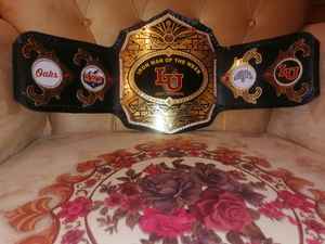 Ceintures de championnat personnalisées Trophées Médailles et récompenses le symbole ultime de la victoire et de l'excellence Ceintures de championnat - Product Image 4